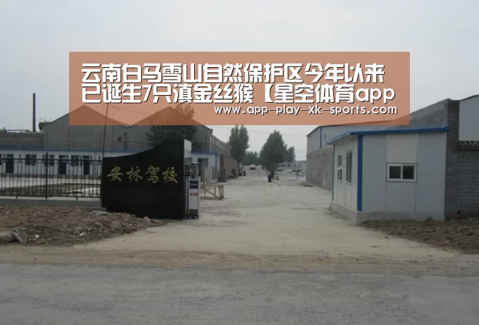 星空体育在线入口